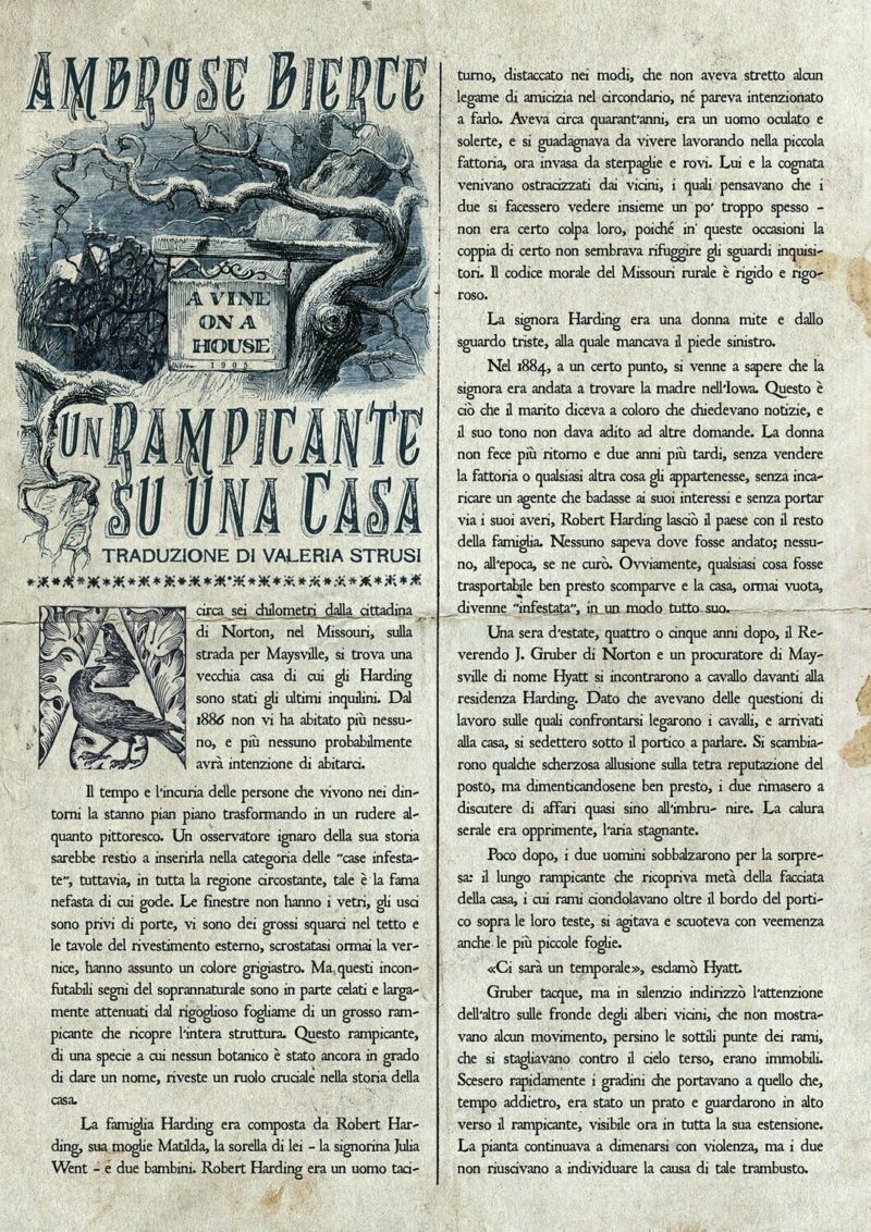L'Imbustastorie "Pagine d'autore" - upgrade "Biosfera ostile" - immagine 5