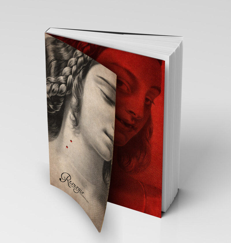 Resurgir - immagine 11