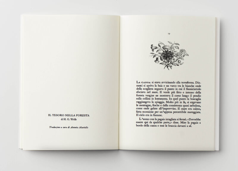 Selve Oscure - immagine 5