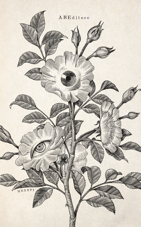 Ornamenti di Giada - immagine 3