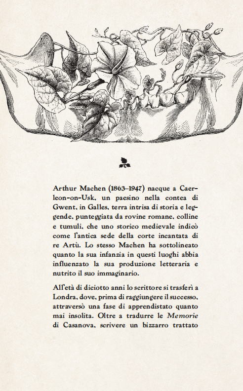 Ornamenti di Giada - immagine 6