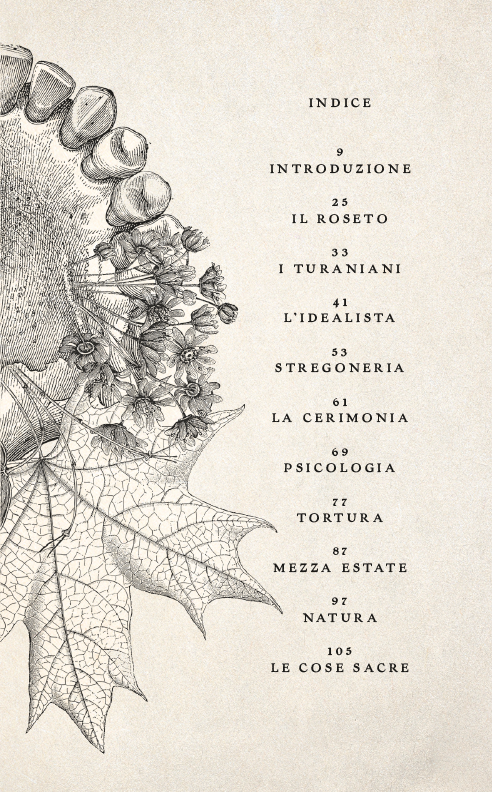 Ornamenti di Giada - immagine 7
